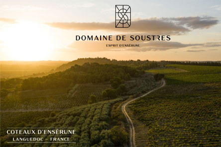 Dégustation domaine soustres